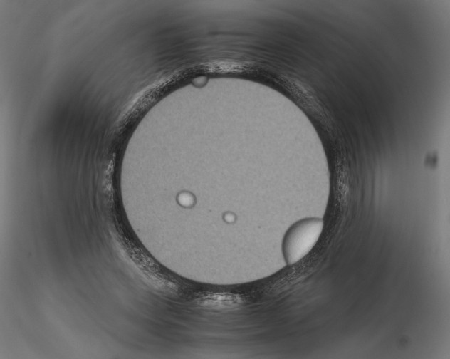 X0000115180543200912091049