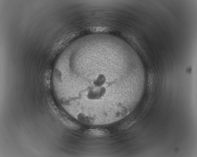 X0000115180545200912091049