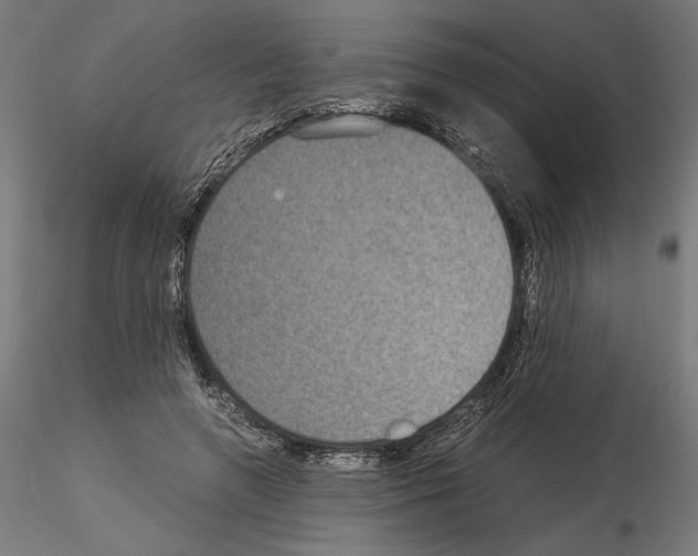 X0000115180546200912091049