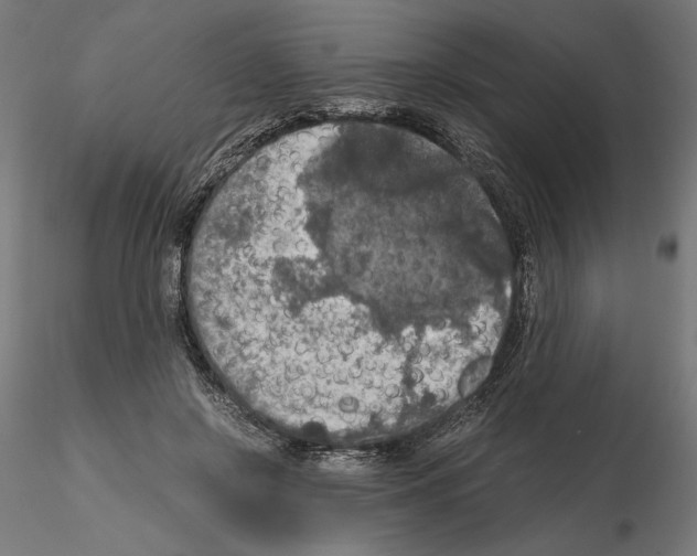 X0000115180550200912091049