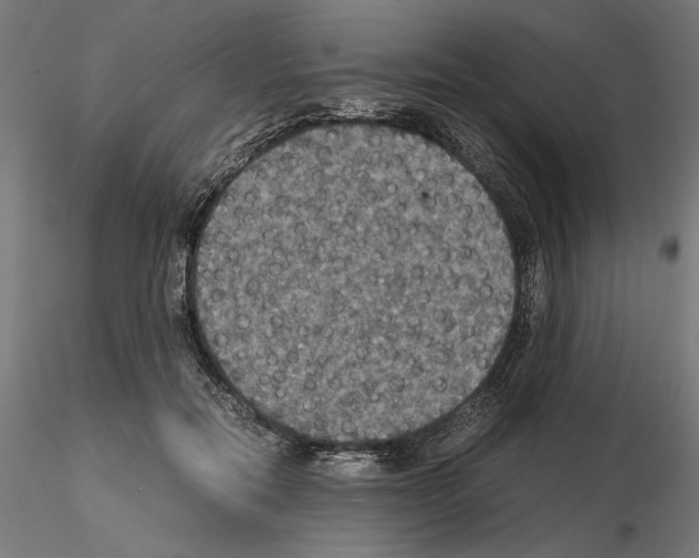 X0000115180554200912091049