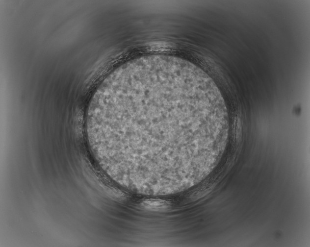 X0000115180557200912091050