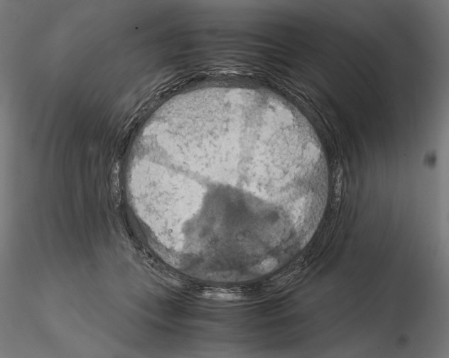 X0000115180559200912091050