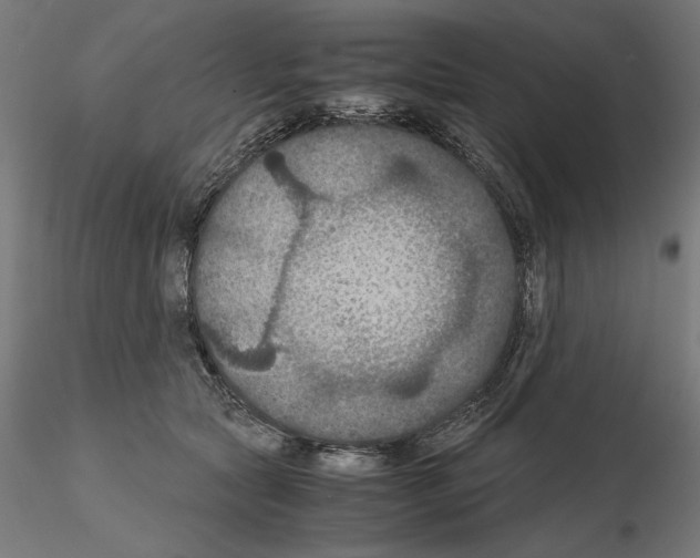 X0000115180561200912091050