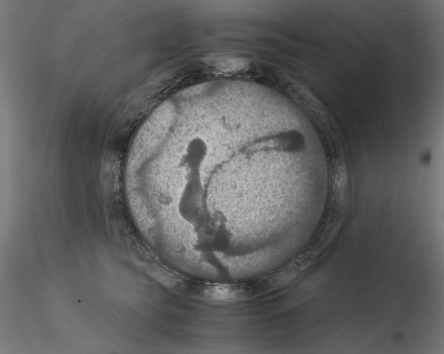 X0000115180565200912091050