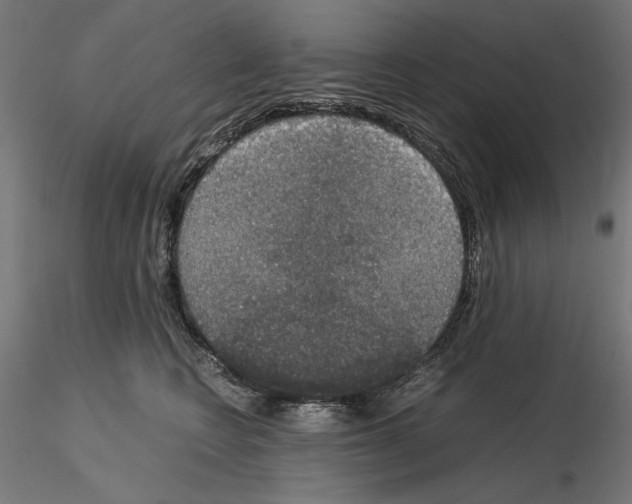 X0000115180566200912091050