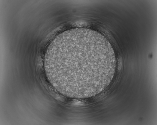 X0000115180569200912091050