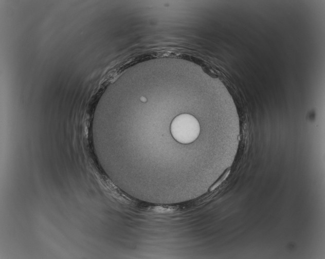 X0000115180570200912091050