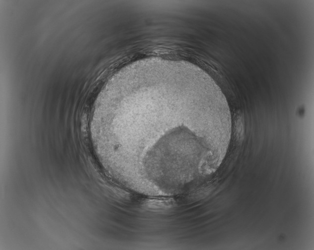 X0000115180571200912091050