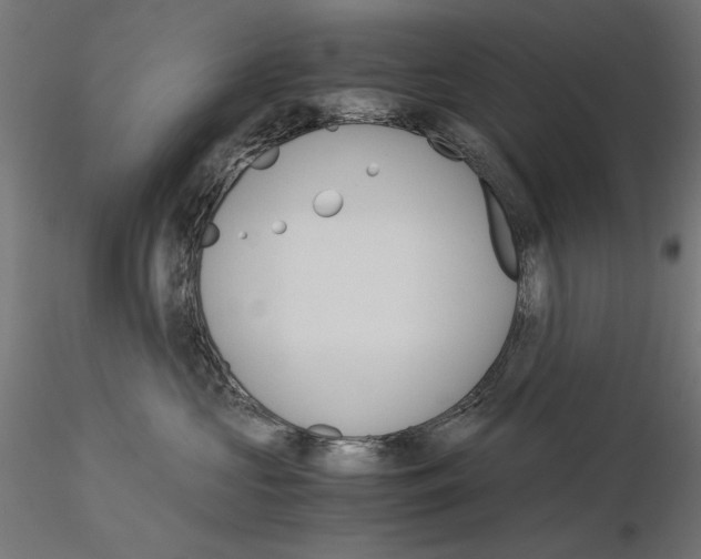 X0000115180573200912091050