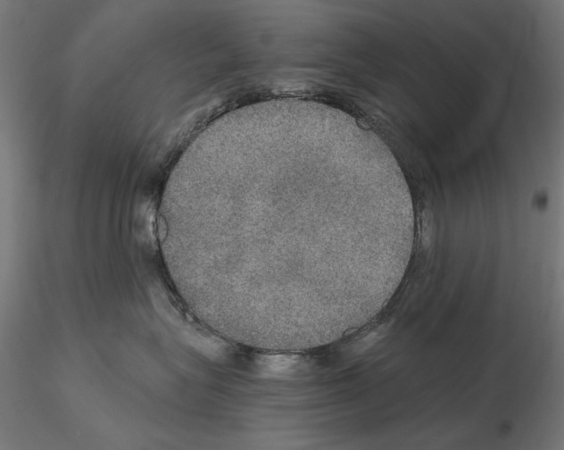 X0000115180575200912091050