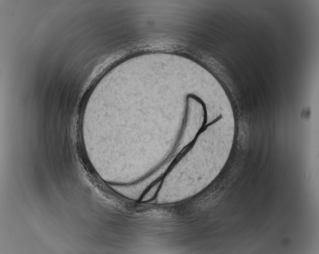 X0000115180578200912091049