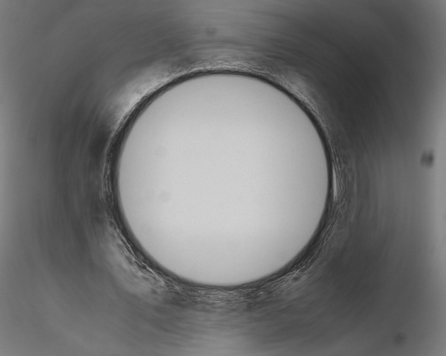 X0000115180579200912091049