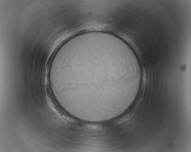 X0000115180582200912091049