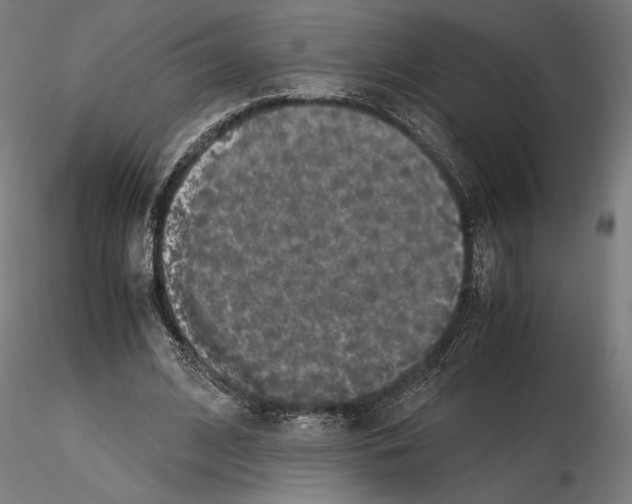 X0000115180584200912091049