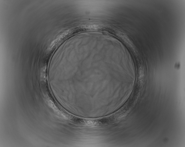 X0000115180585200912091049