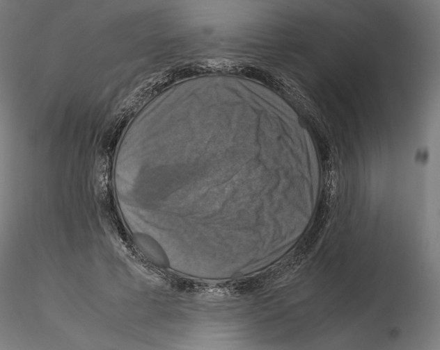 X0000115180593200912091049