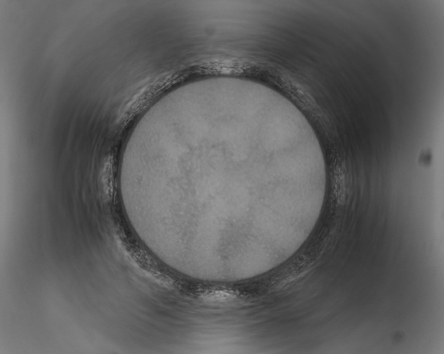 X0000115180594200912091049