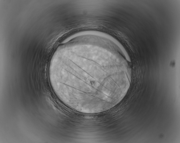 X0000115180596200912091049