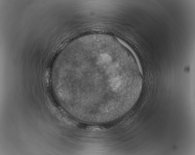 X0000115180597200912091049