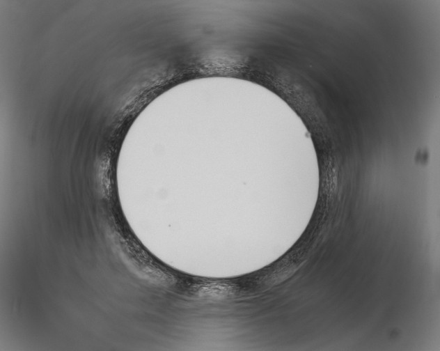 X0000115180599200912091049