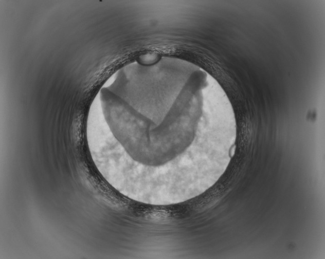 X0000115180600200912091049