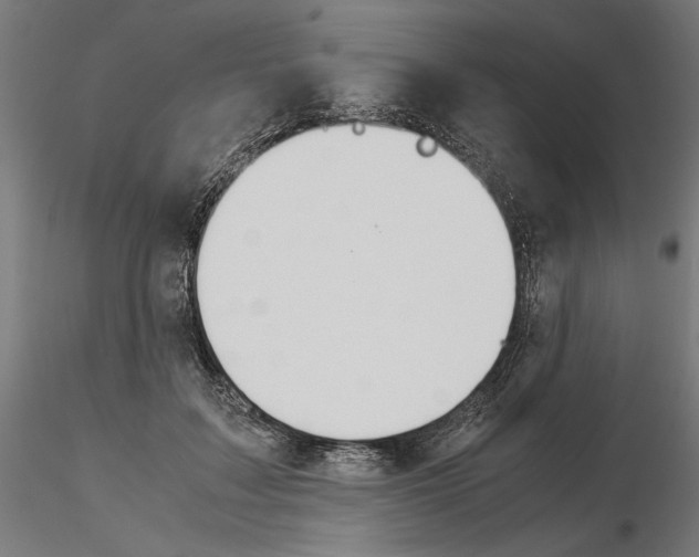 X0000115180603200912091049