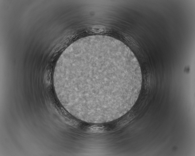 X0000115180606200912091049