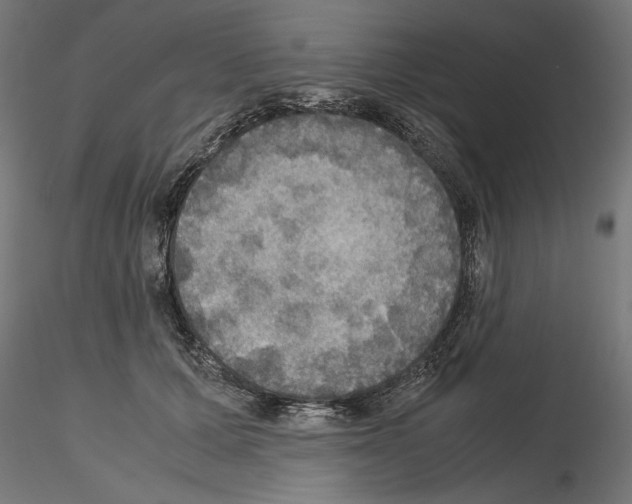 X0000115180607200912091049