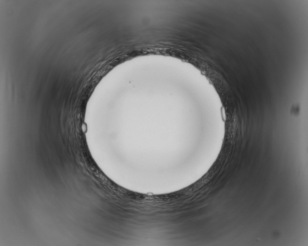 X0000115180608200912091049