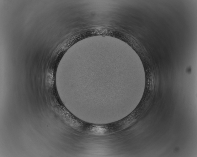 X0000115180610200912091049