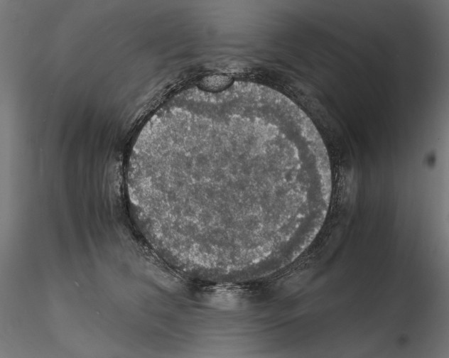 X0000115180612200912091049