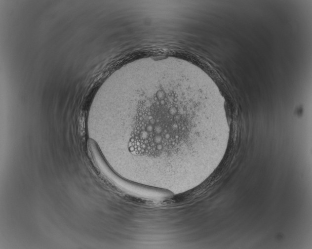 X0000115180613200912091049