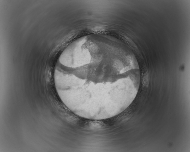 X0000115180618200912091049