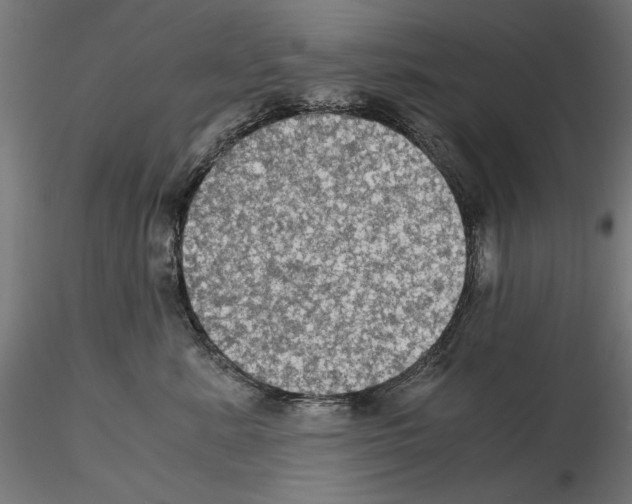 X0000115180619200912091049