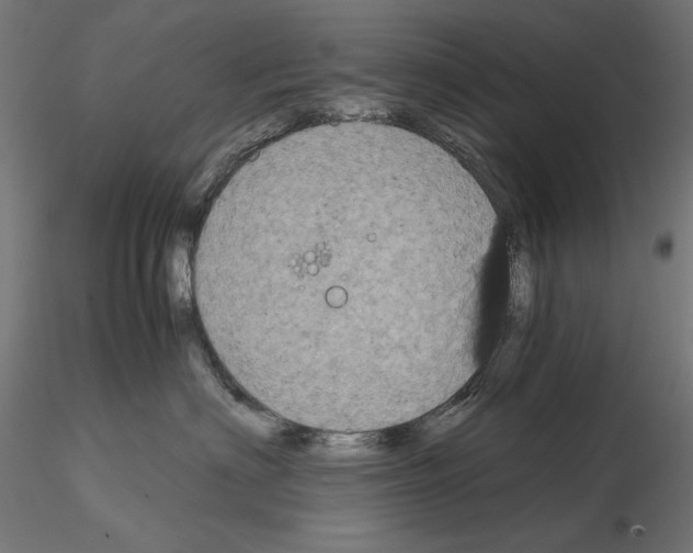 X0000115180622200912091048