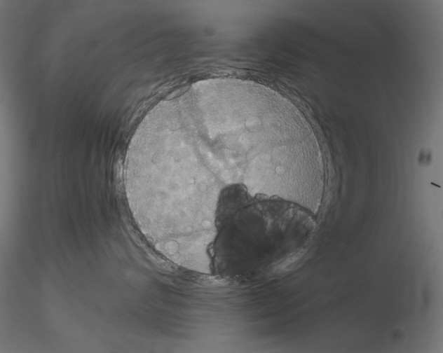 X0000115180624200912091048