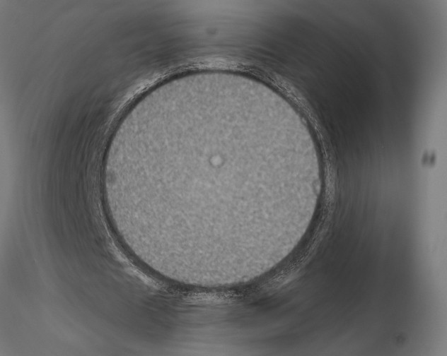 X0000115180625200912091048