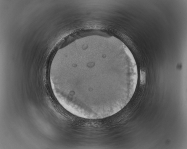 X0000115180627200912091048