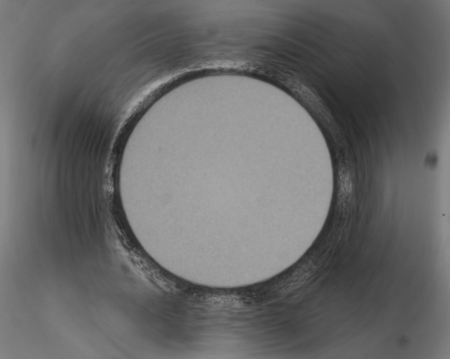 X0000115180628200912091048