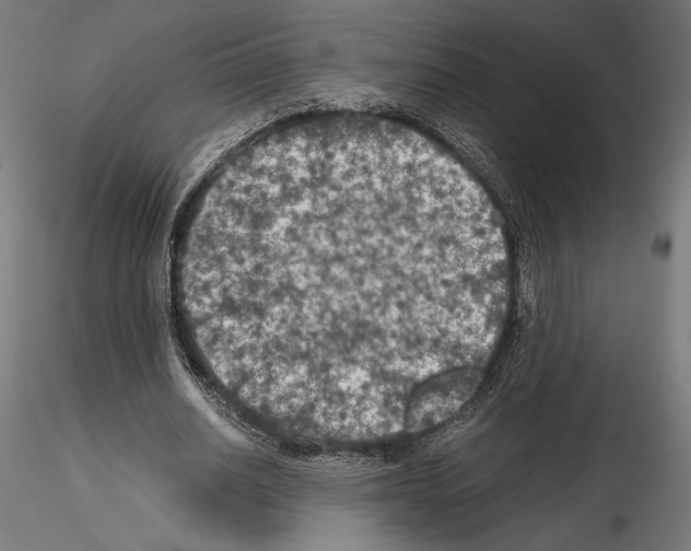 X0000115180630200912091048