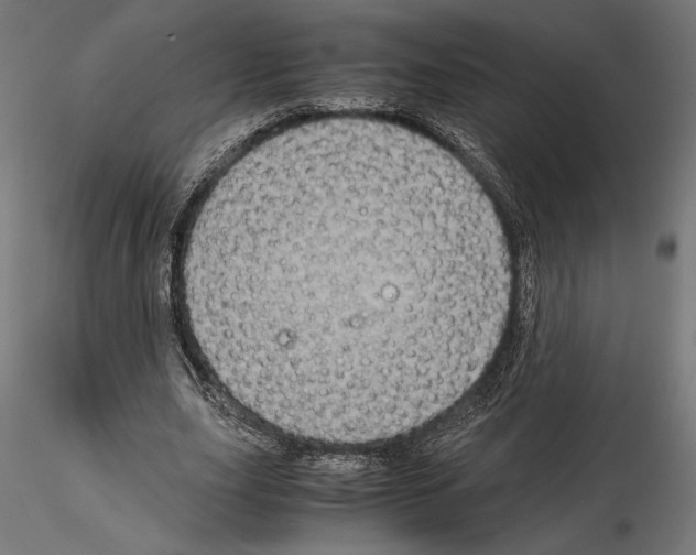 X0000115180631200912091048