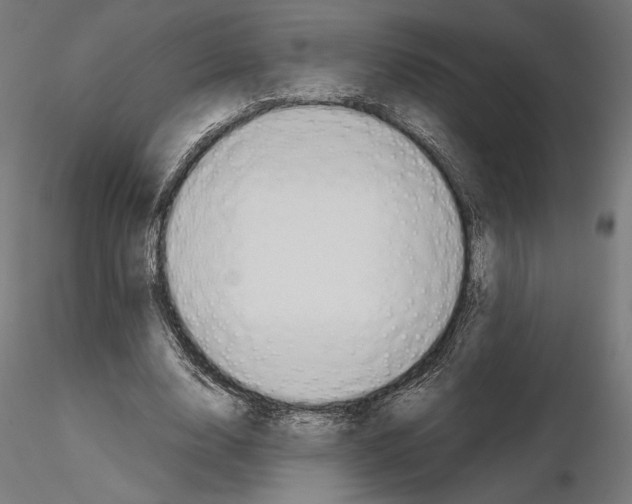 X0000115180632200912091048