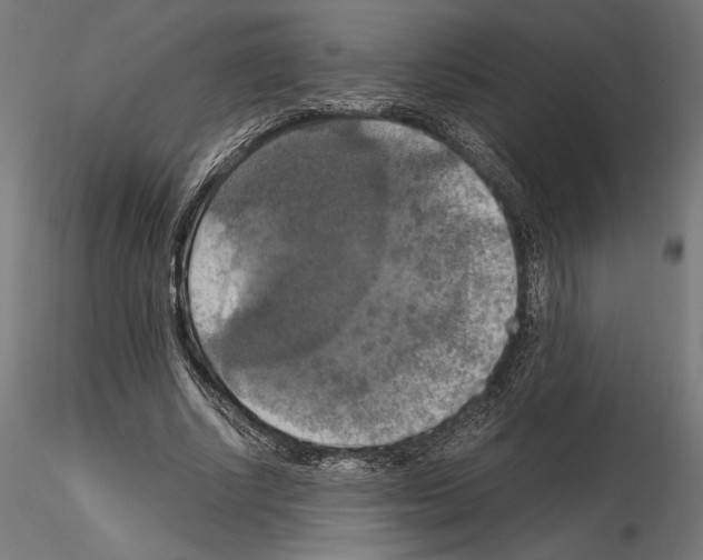 X0000115180634200912091048