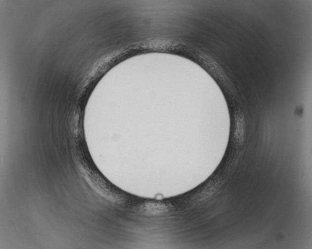 X0000115180636200912091048