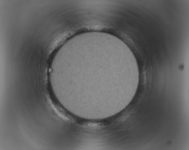 X0000115180638200912091048