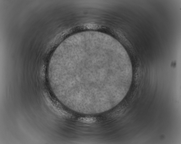 X0000115180639200912091048