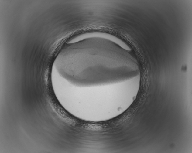 X0000115180640200912091048