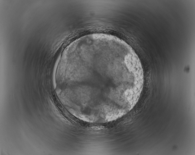 X0000115180642200912091048