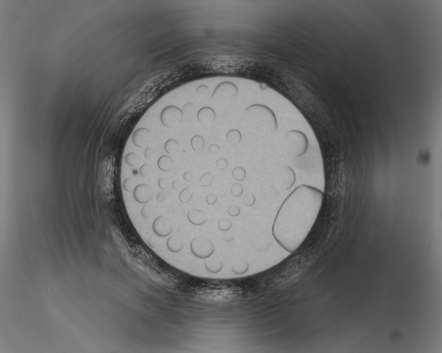 X0000115180646200912091048